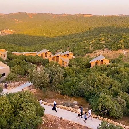 Ajloun Forest Reserve Экстерьер фото
