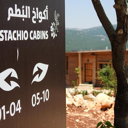 Ajloun Forest Reserve Экстерьер фото