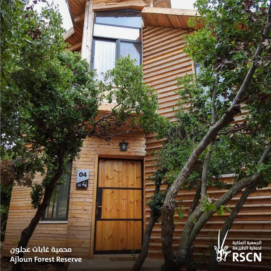 Ajloun Forest Reserve Экстерьер фото