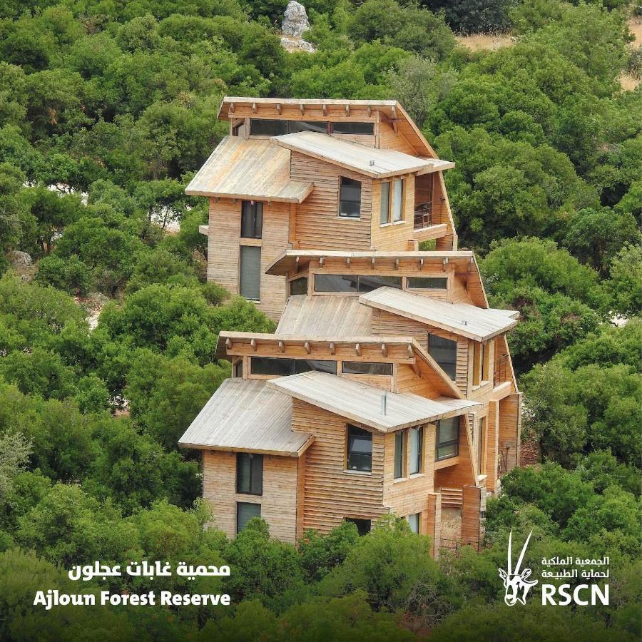 Ajloun Forest Reserve Экстерьер фото