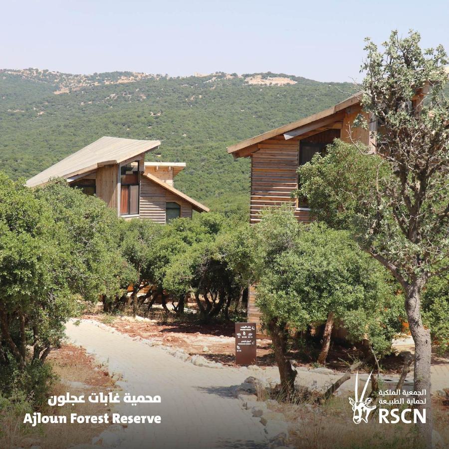 Ajloun Forest Reserve Экстерьер фото