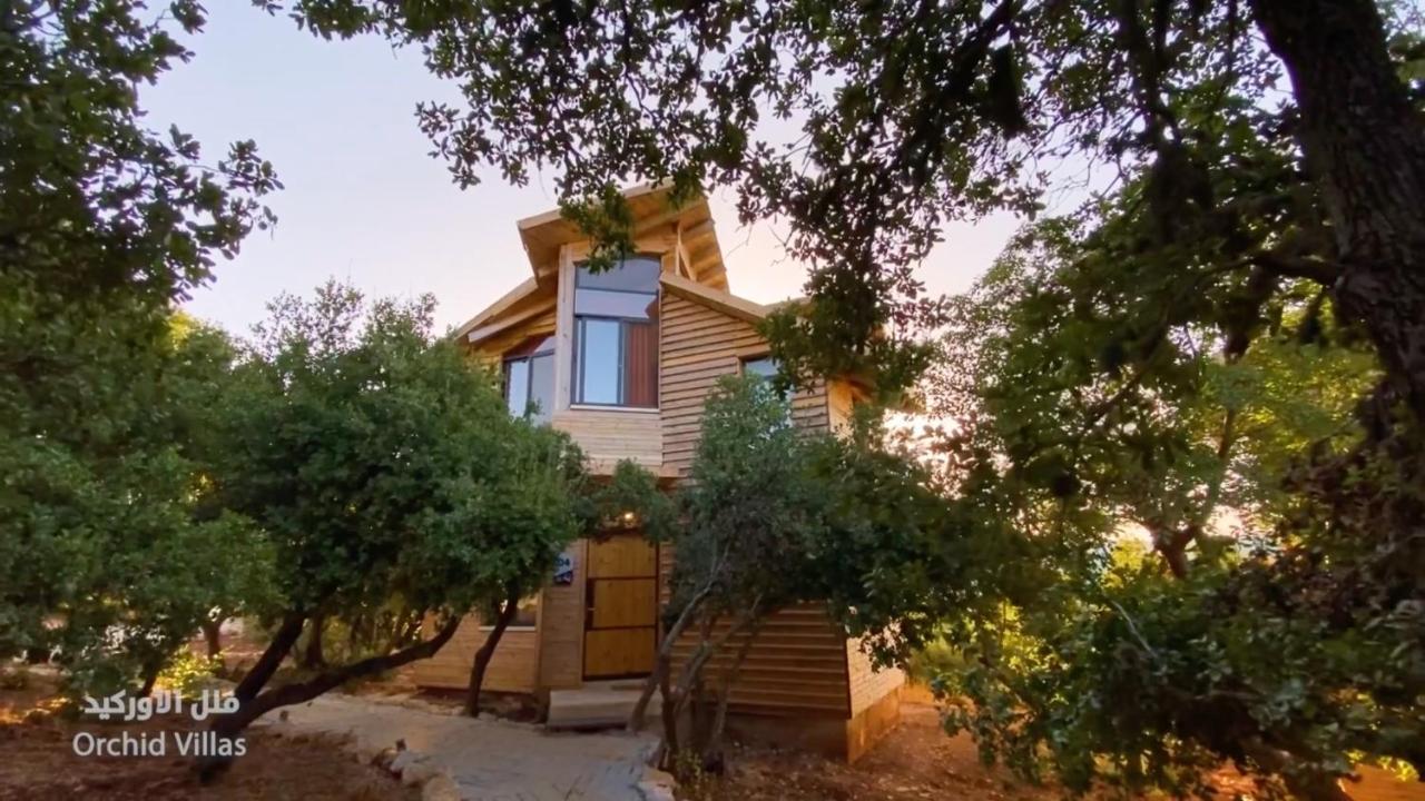 Ajloun Forest Reserve Экстерьер фото