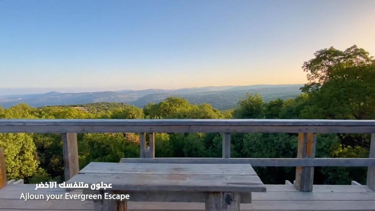 Ajloun Forest Reserve Экстерьер фото