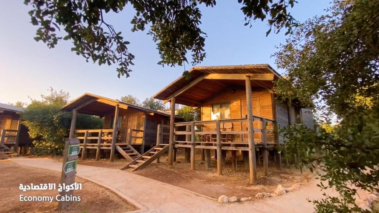 Ajloun Forest Reserve Экстерьер фото