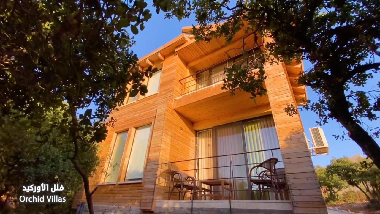 Ajloun Forest Reserve Экстерьер фото