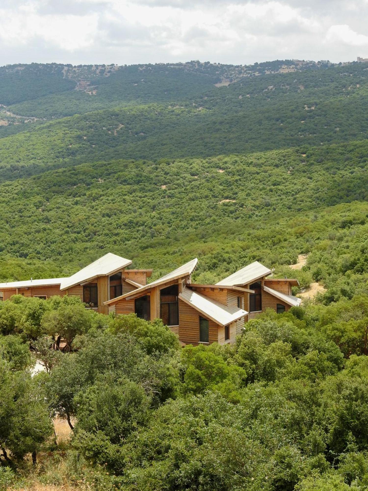 Ajloun Forest Reserve Экстерьер фото