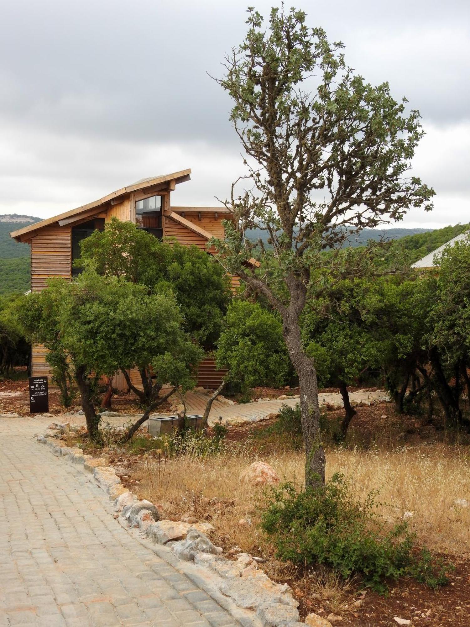 Ajloun Forest Reserve Экстерьер фото