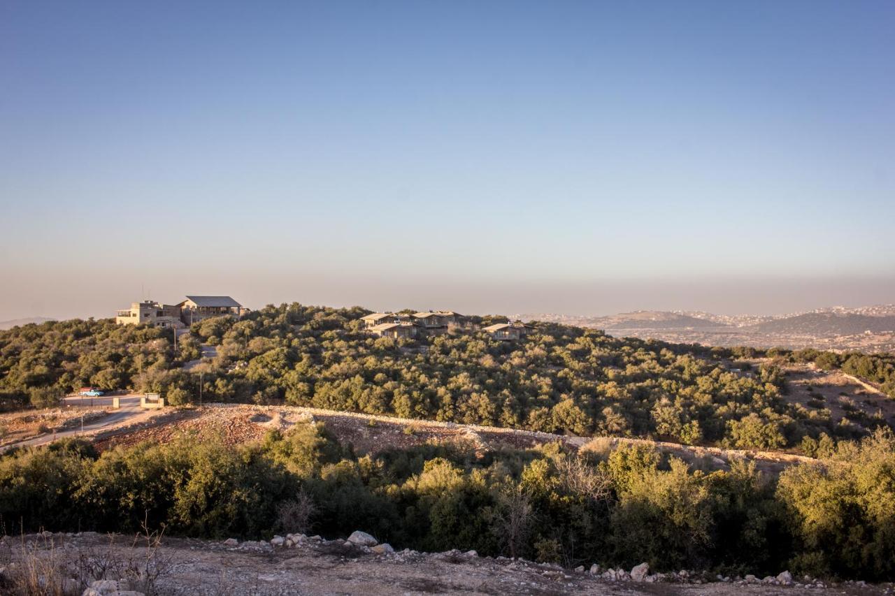 Ajloun Forest Reserve Экстерьер фото